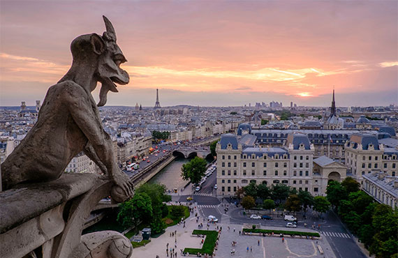 Cetasol team at work